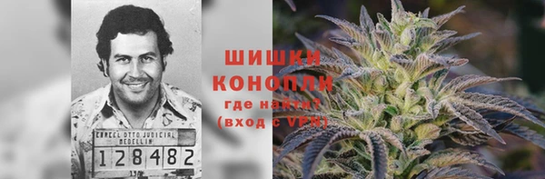 шишки Магадан