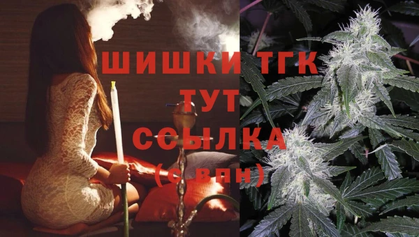шишки Магадан