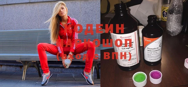 винт Анива